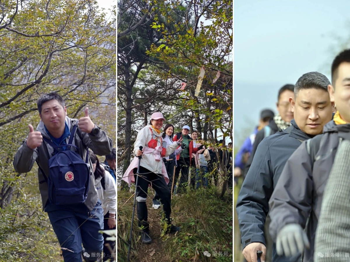 1761719444323125.jpg 拼2.jpg
